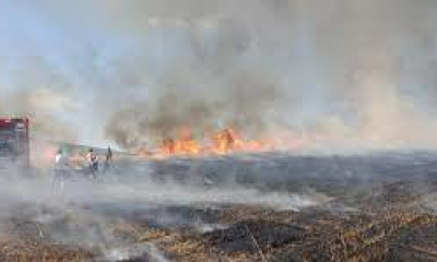 Zeci de hectare de vegetaţie uscată, distruse în urma unor incendii petrecute în week-end